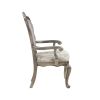 ACME Ariadne Side Chair (Set-2), Velvet & Antique Plantinum Finish DN02282