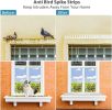 Anti Bird Spikes Repellent Pigeon Fence Kit Deterrent Spikes For Small Animal