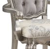 ACME Ariadne Side Chair (Set-2), Velvet & Antique Plantinum Finish DN02282